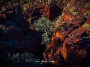 Oxer Lookout, Karijini National Park