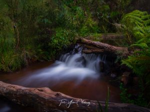 Lane Pool Reserve, Dwellingup