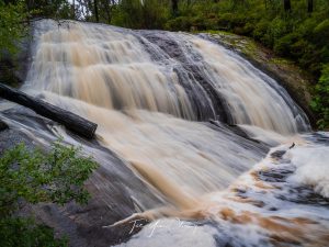 Lane Poole Falls, Northcliffe