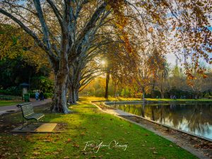 Autumn in Hyde Park, North Perth