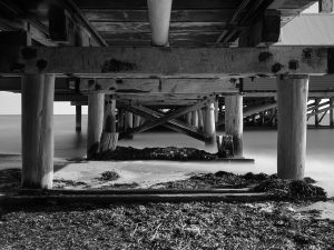 Under Busselton Jetty