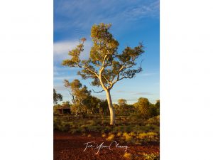 Pilbara golden sunset, Karijini Eco Retreat