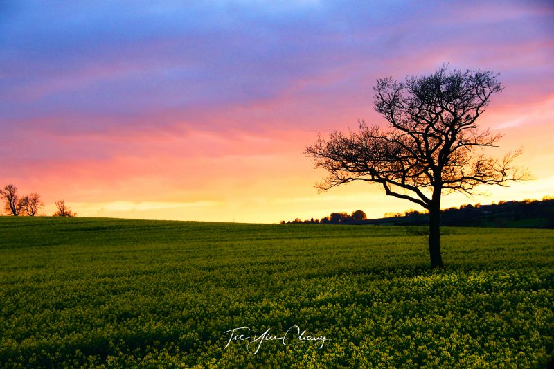 Spring sunset in the UK