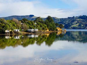 Reflections on the Otago Peninsula, South Island, New Zealand