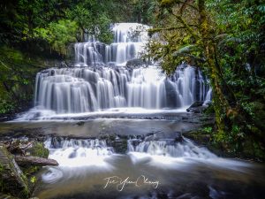 Purakaunui Falls, South Island, New Zealand