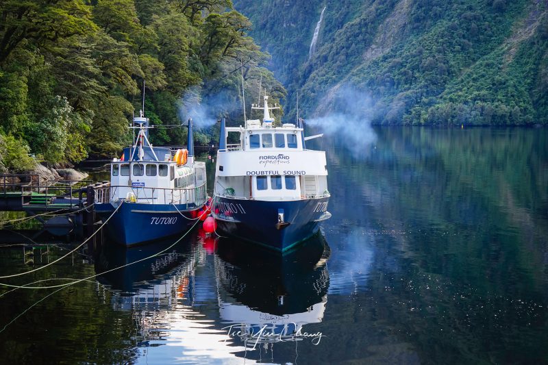 Doubtful Sound, South Island, New Zealand