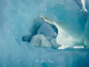 Franz Josef glacier, South Island, New Zealand