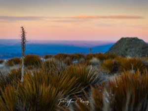 Nevis Road Duffers Saddle sunset, South Island, New Zealand