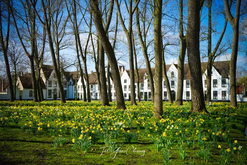 Historical Begijnhof (Beguinage), Brugge, Belgium