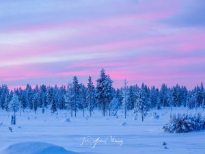 Finnish Lapland vivid sunrise