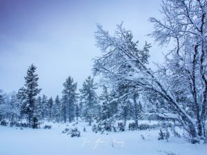 Scenic Finnish Lapland in winter