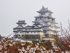 Himeji Castle in spring, Hyogo, Japan