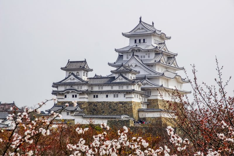 Himeji Castle in spring, Hyogo, Japan