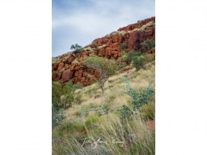 Rugged Pilbara, Millstream-Chichester National Park