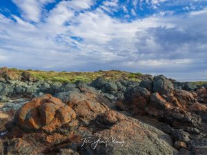 Coastal rocks, Antonymyre