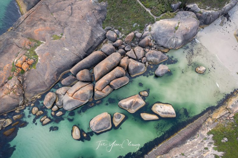 Elephant Cove, Denmark