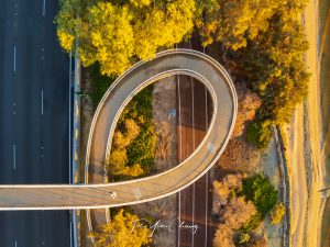 Perspective, padestrian footbridge, South Perth