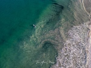 Lone surfer, Leighton Beach