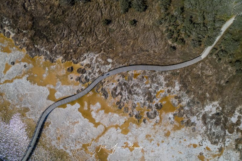 Lake Clifton top down