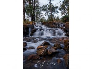 Lesmurdie Cascades in winter