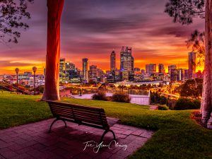 Seat with a view, Kings Park