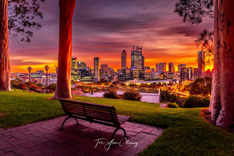 Seat with a view, Kings Park